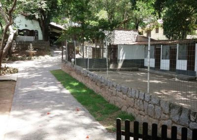 hospedagem de cães em niterói - WhatsApp Image 2017 12 11 at 14 - Hospedagem de Cães em Niterói &#8211; Hotel e Creche para Cães