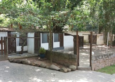 Hospedagem de Cães em NIterói RJ hospedagem de cães em niterói - WhatsApp Image 2017 12 11 at 14 - Hospedagem de Cães em Niterói &#8211; Hotel e Creche para Cães