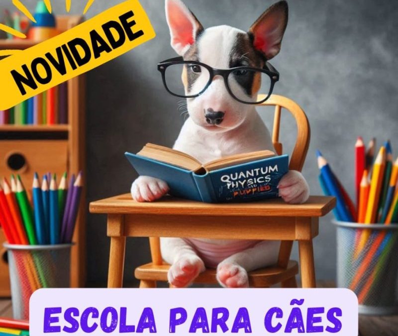 Escola para cães